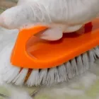 洗剤