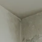 専門店